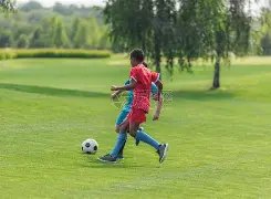 山东球迷李,平康遭戴琳,欠款,亚博体育,亚博体育,Yabo,Sports,亚博体育官网